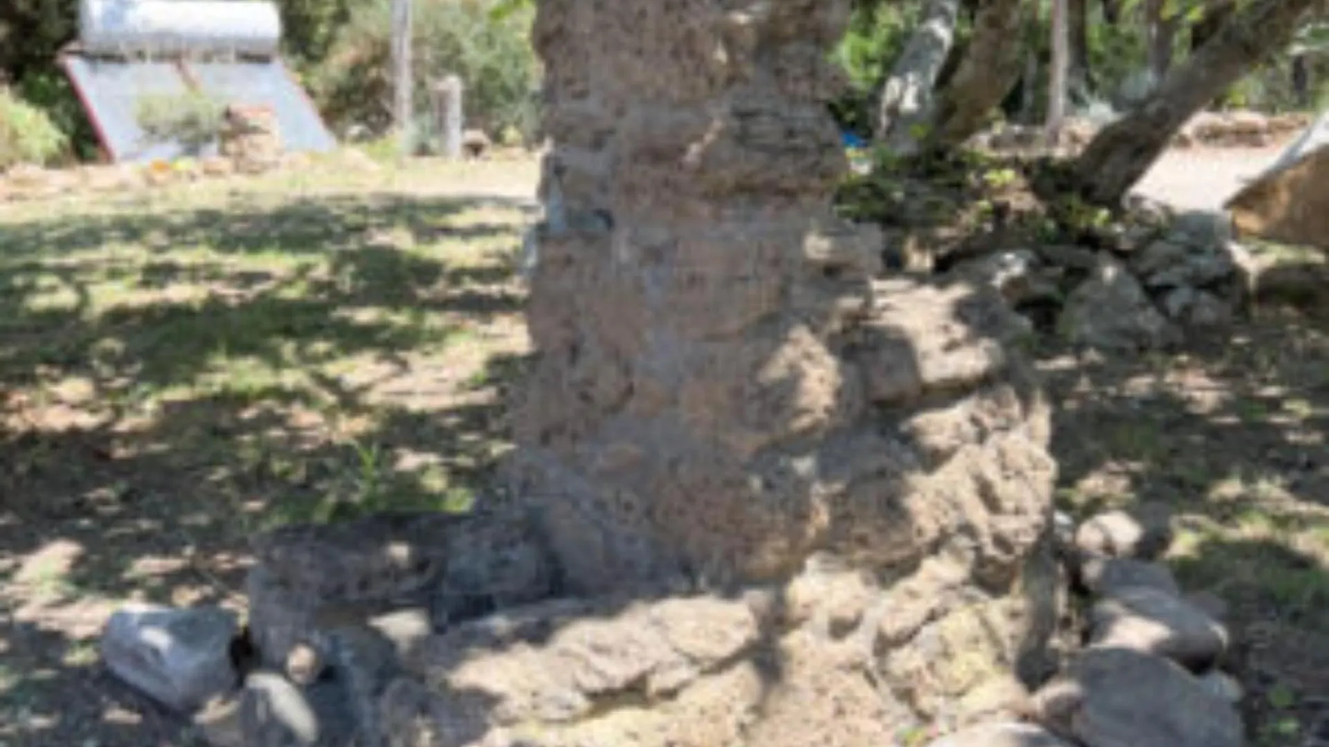 Gospodarstwo agroturystyczne Agriturismo Amandolo Cavo
